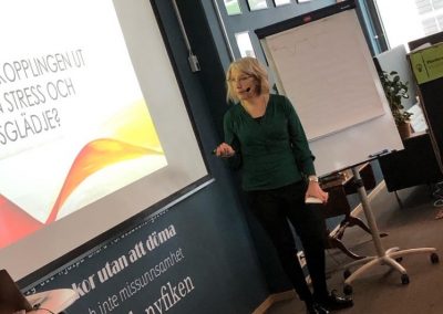 Inger Rydén föreläser om Arbetsglädje - 01